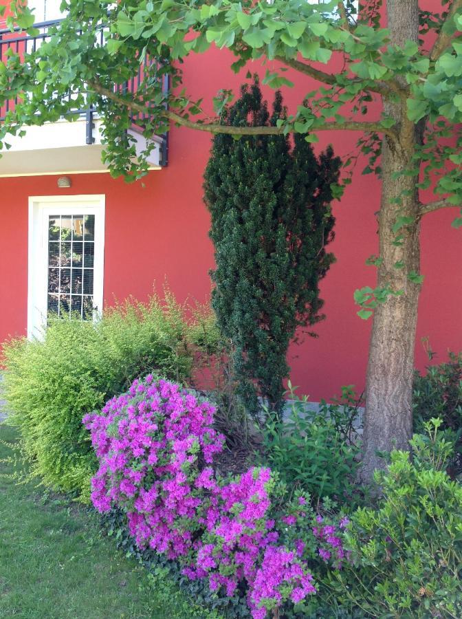 'L Sass Bed & Breakfast Borgomanero Luaran gambar